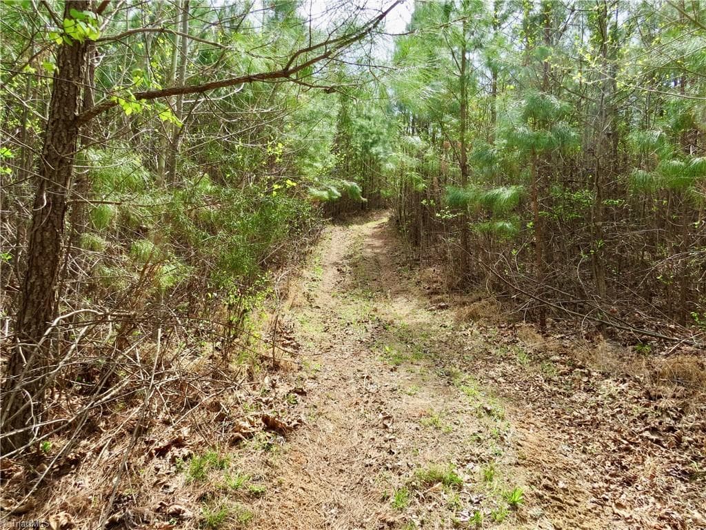 Agriculture at 0 Vernon Road, Reidsville NC 27320, photo 18 of 27