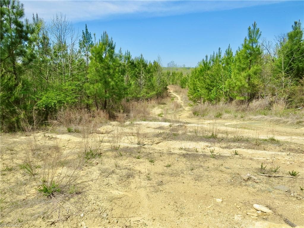 Agriculture at 0 Vernon Road, Reidsville NC 27320, photo 15 of 27