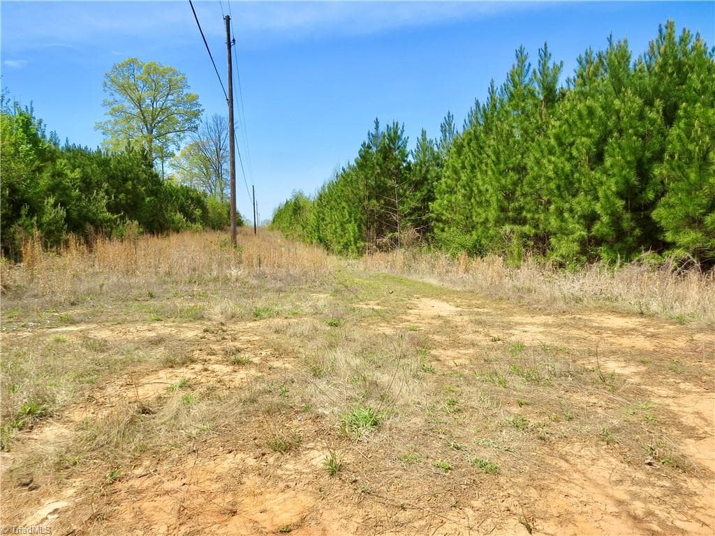 Agriculture at 0 Vernon Road, Reidsville NC 27320, photo 11 of 27