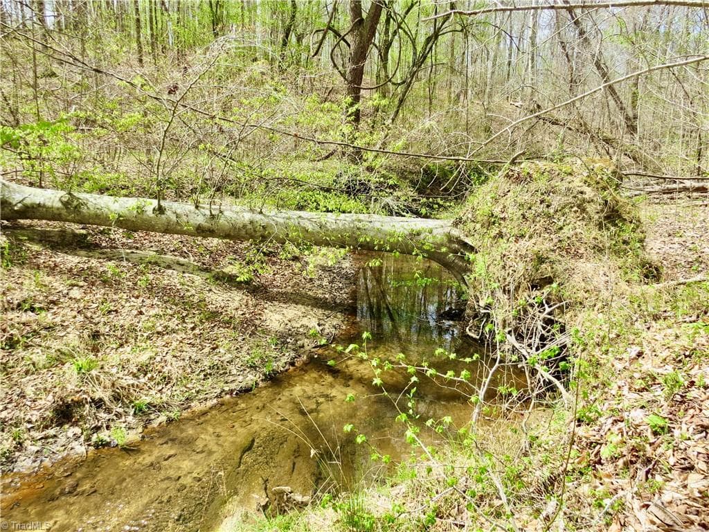 Agriculture at 0 Vernon Road, Reidsville NC 27320, photo 19 of 27