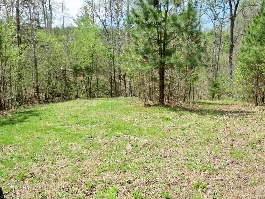Agriculture at 0 Vernon Road, Reidsville NC 27320, photo 8 of 27