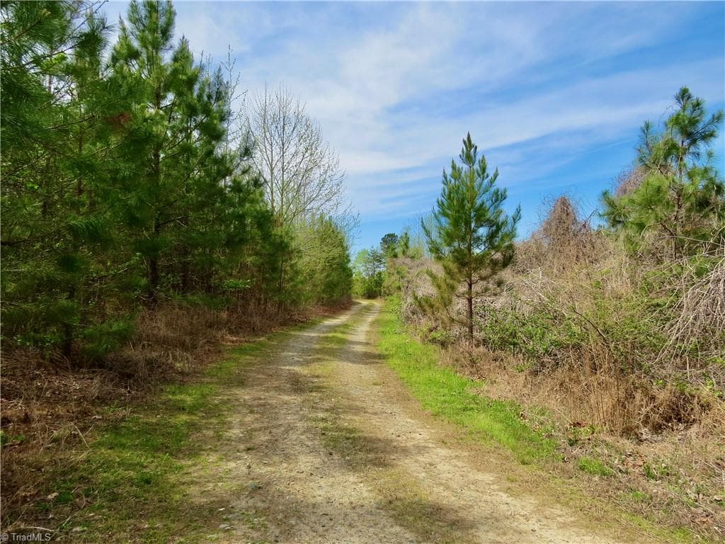 Agriculture at 0 Vernon Road, Reidsville NC 27320, photo 25 of 27
