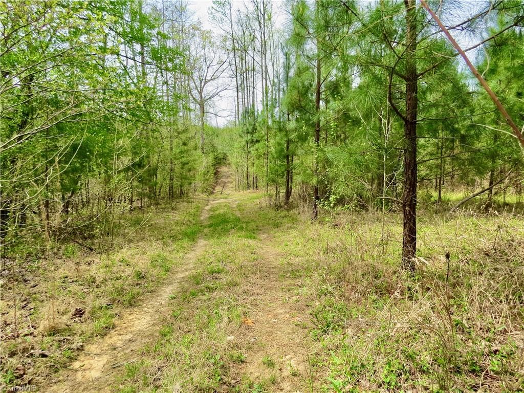 Agriculture at 0 Vernon Road, Reidsville NC 27320, photo 21 of 27
