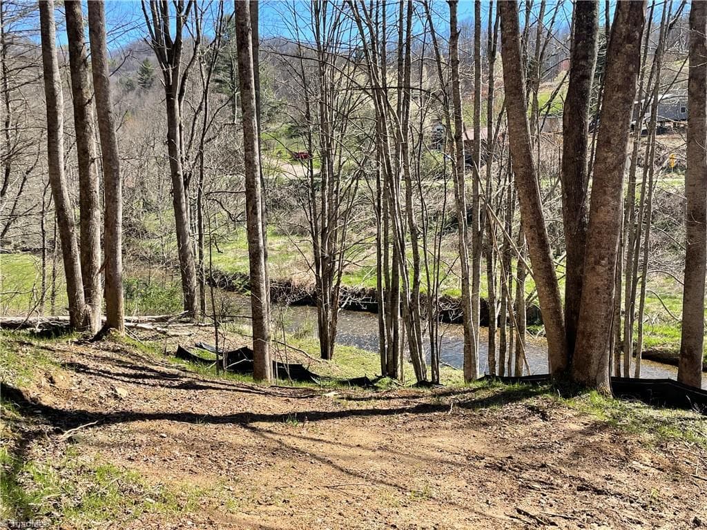 Single Family Residence at 6 Stonegate Lane, Creston NC 28615, photo 7 of 14