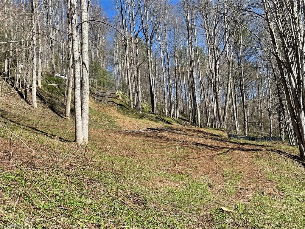Single Family Residence at 6 Stonegate Lane, Creston NC 28615, photo 10 of 14