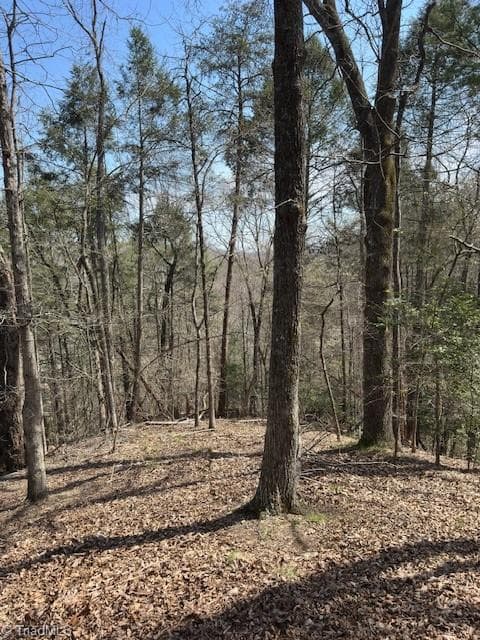 Single Family Residence at 00 seven island Road, Danbury NC 27016, photo 6 of 14