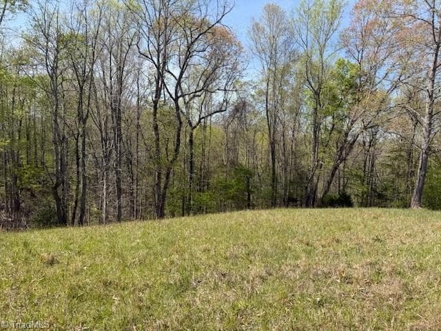 Single Family Residence at 00 seven island Road, Danbury NC 27016, photo 13 of 14