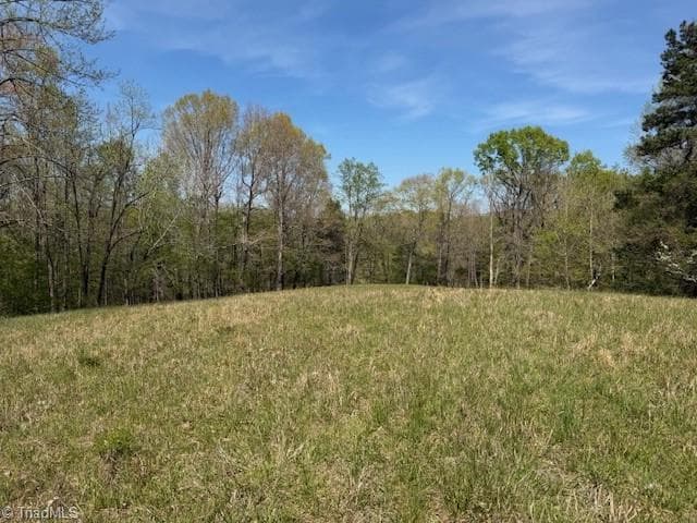 Single Family Residence at 00 seven island Road, Danbury NC 27016, photo 12 of 14