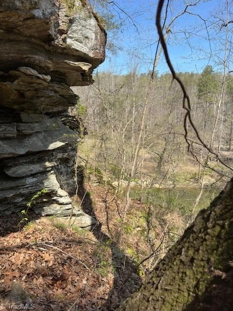 Single Family Residence at 00 seven island Road, Danbury NC 27016, photo 5 of 14