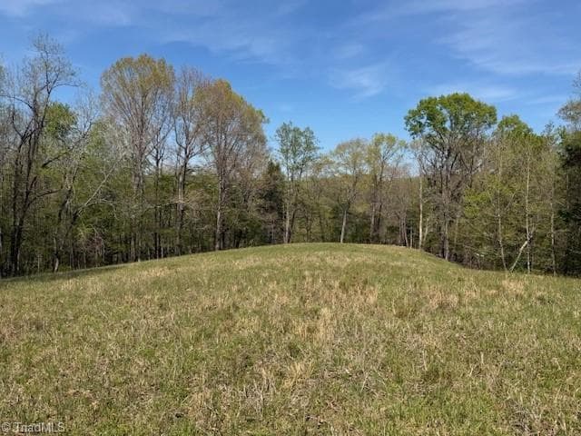 Single Family Residence at 00 seven island Road, Danbury NC 27016, photo 14 of 14