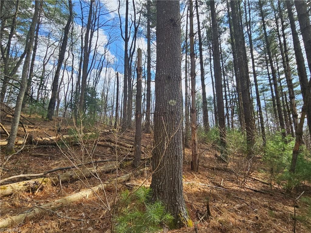 TBD Panorama Drive, Todd NC 28684