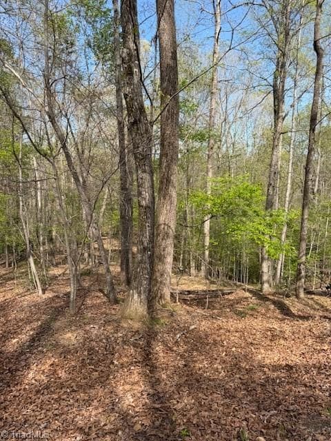 Single Family Residence at 00 seven island Road, Danbury NC 27016, photo 7 of 8