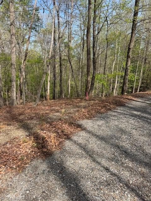 Single Family Residence at 00 seven island Road, Danbury NC 27016, photo 5 of 8