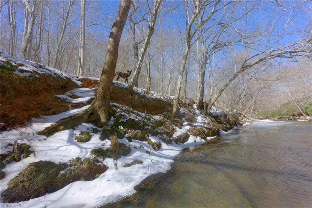 Unimproved Land at 0 Otis Woods Road, Danbury NC 27046, photo 23 of 47