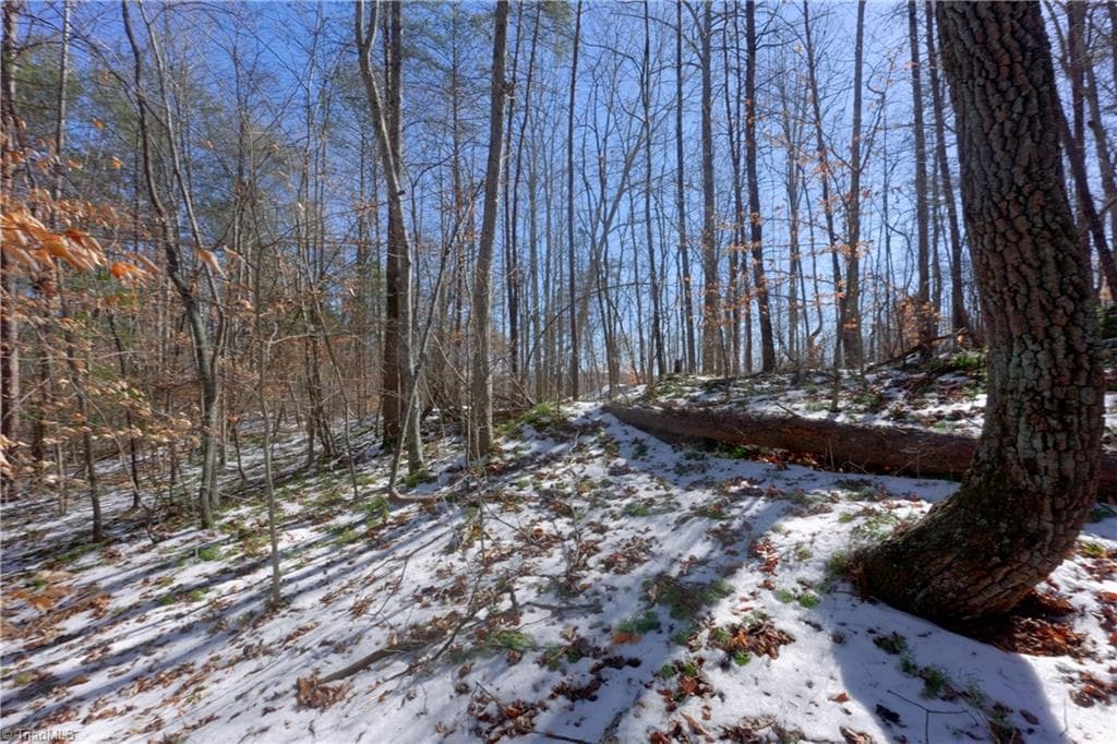 Unimproved Land at 0 Otis Woods Road, Danbury NC 27046, photo 27 of 47