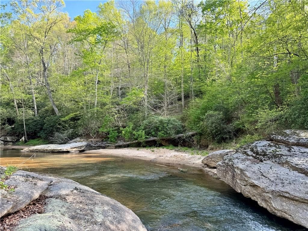 Unimproved Land at 0 Otis Woods Road, Danbury NC 27046, photo 2 of 47