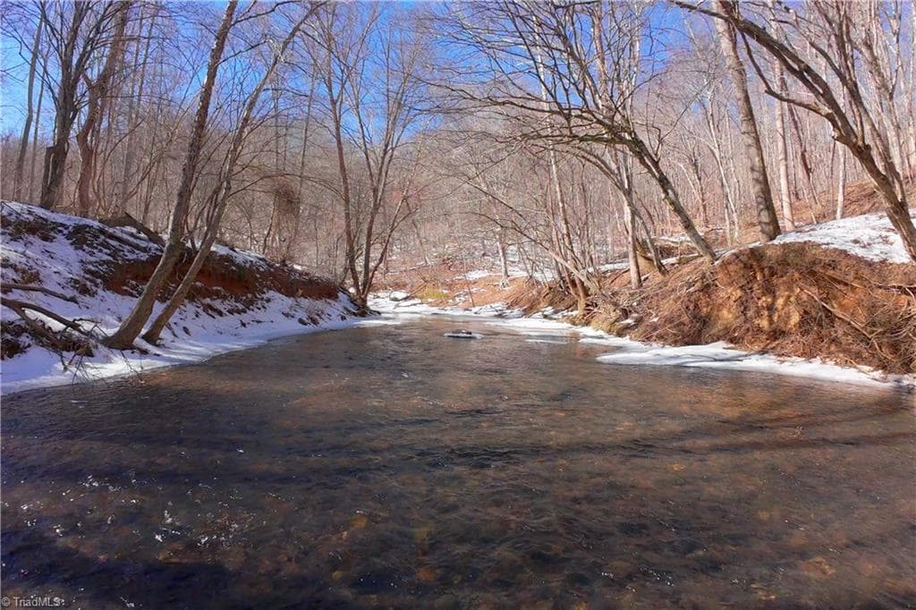 Unimproved Land at 0 Otis Woods Road, Danbury NC 27046, photo 13 of 47