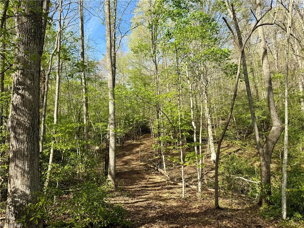 Unimproved Land at 0 Otis Woods Road, Danbury NC 27046, photo 17 of 47
