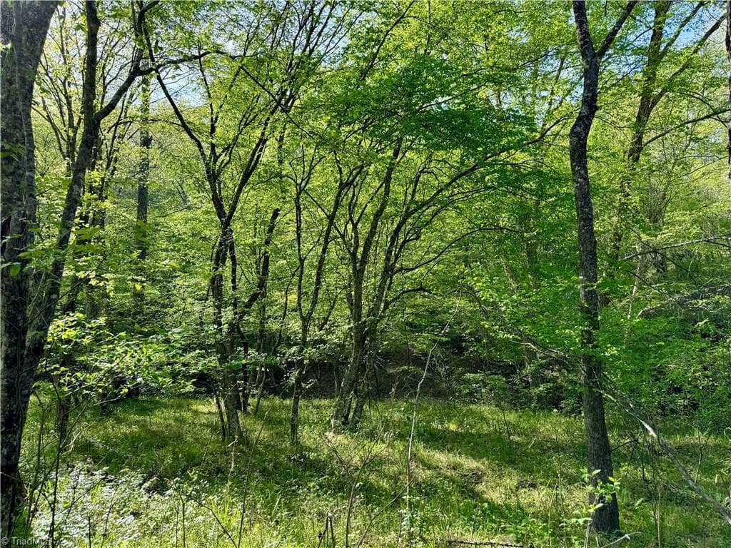 Unimproved Land at 0 Otis Woods Road, Danbury NC 27046, photo 43 of 47
