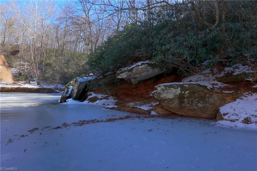 Unimproved Land at 0 Otis Woods Road, Danbury NC 27046, photo 16 of 47