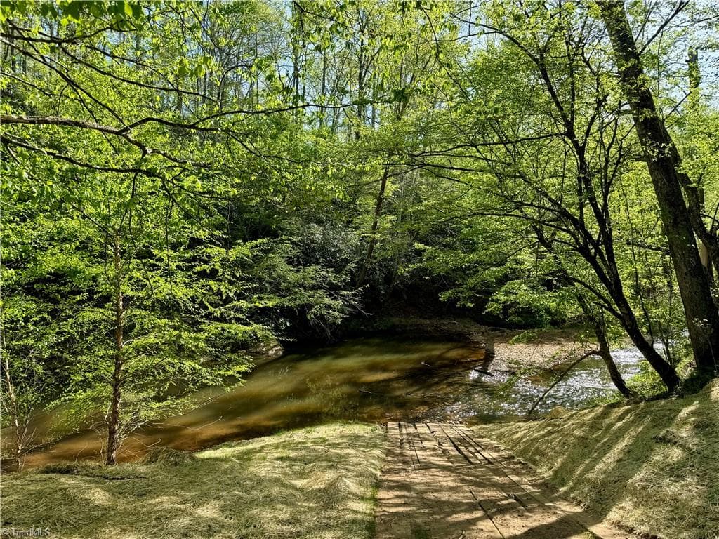 Unimproved Land at 0 Otis Woods Road, Danbury NC 27046, photo 12 of 47