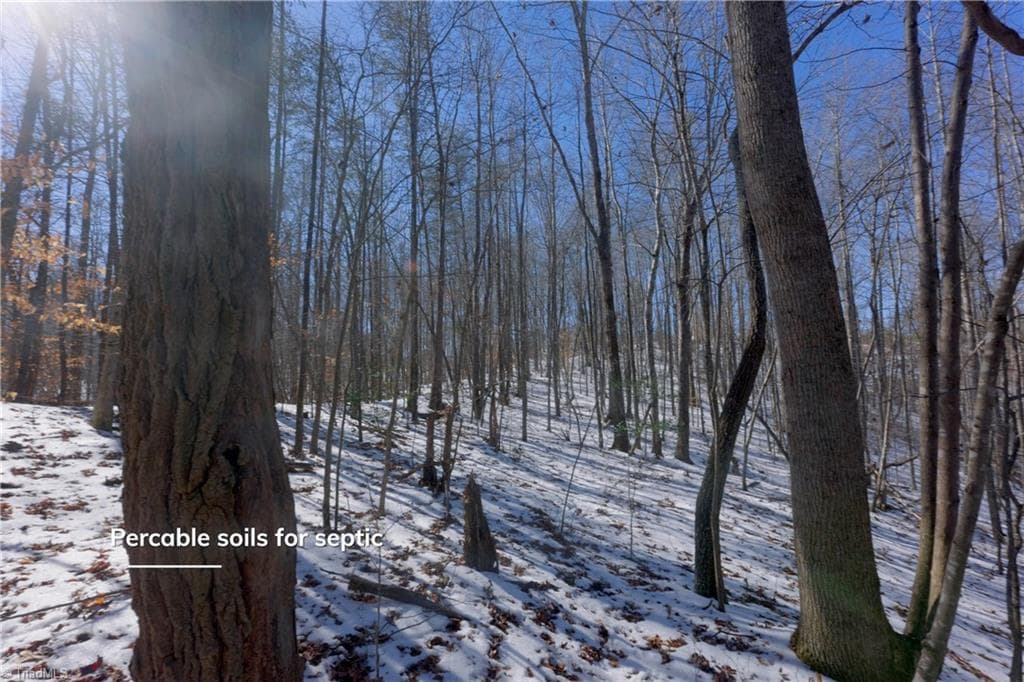 Unimproved Land at 0 Otis Woods Road, Danbury NC 27046, photo 26 of 47