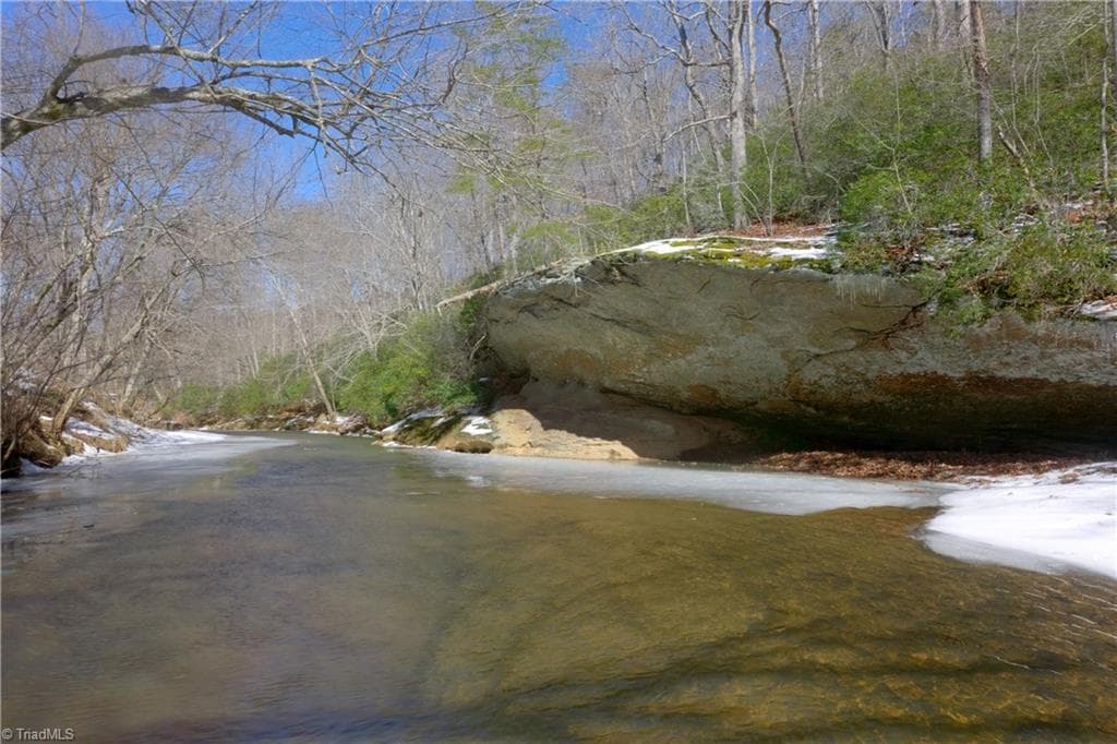 Unimproved Land at 0 Otis Woods Road, Danbury NC 27046, photo 22 of 47