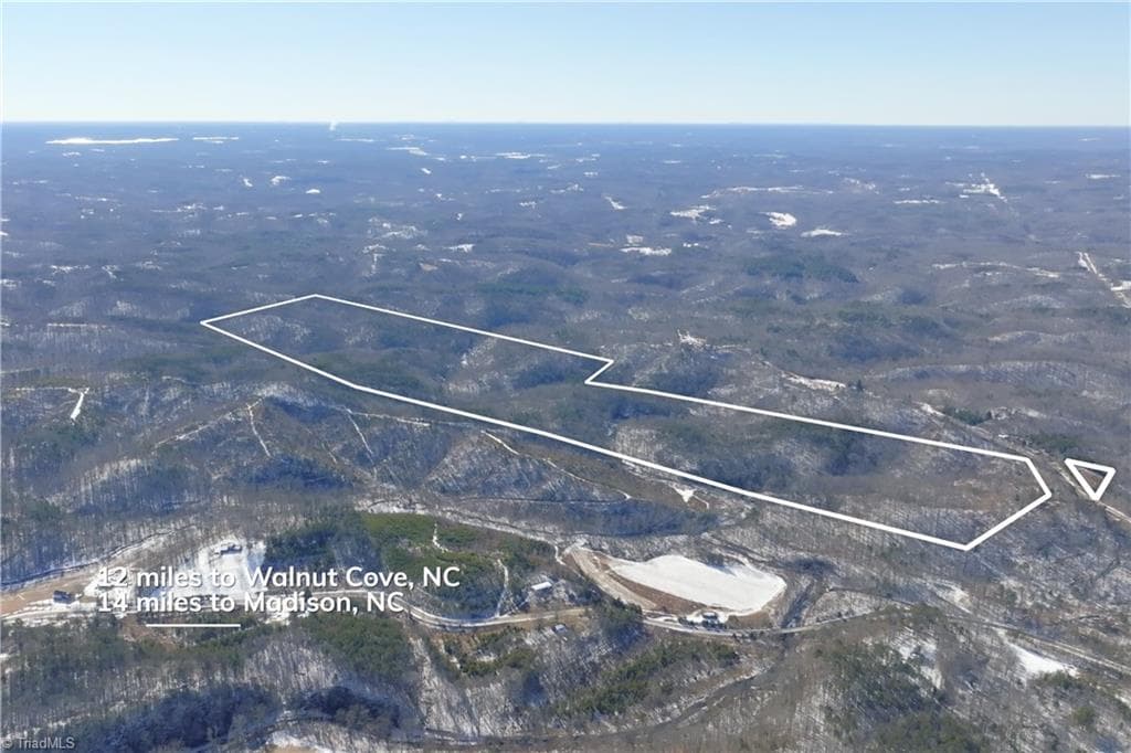 Unimproved Land at 0 Otis Woods Road, Danbury NC 27046, photo 7 of 47
