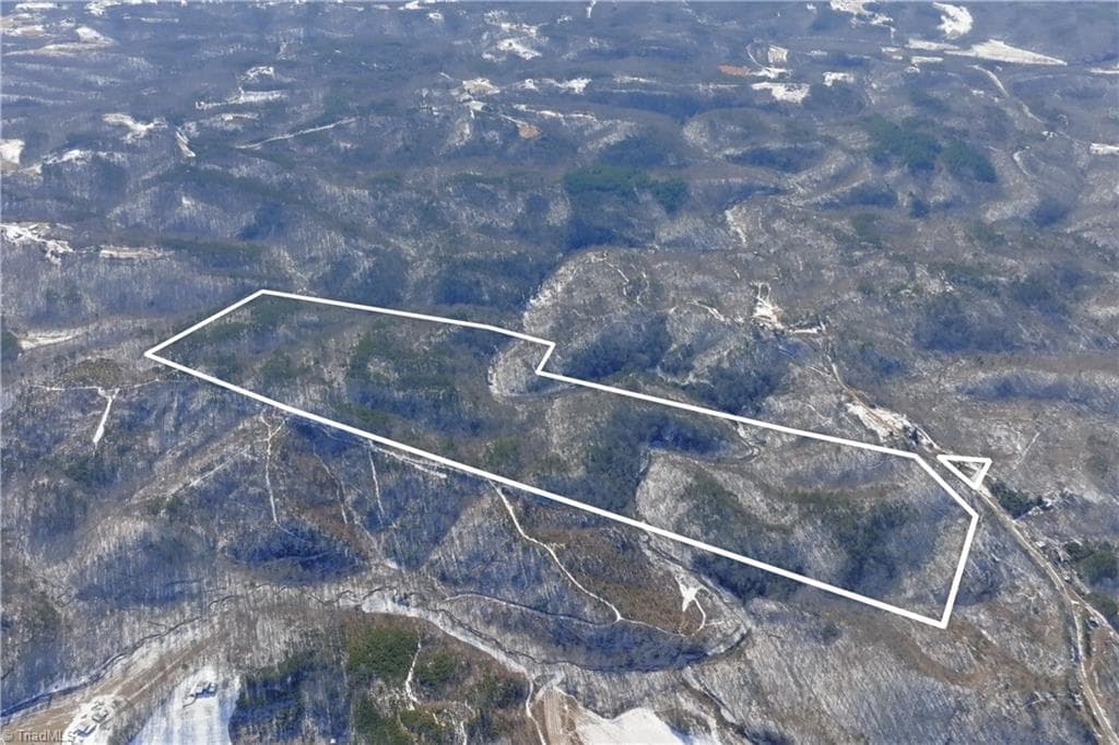 Unimproved Land at 0 Otis Woods Road, Danbury NC 27046, photo 3 of 47