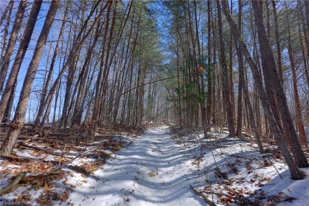 Unimproved Land at 0 Otis Woods Road, Danbury NC 27046, photo 36 of 47