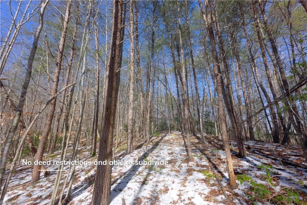 Unimproved Land at 0 Otis Woods Road, Danbury NC 27046, photo 32 of 47