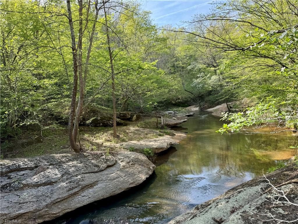 0 Otis Woods Road, Danbury NC 27046