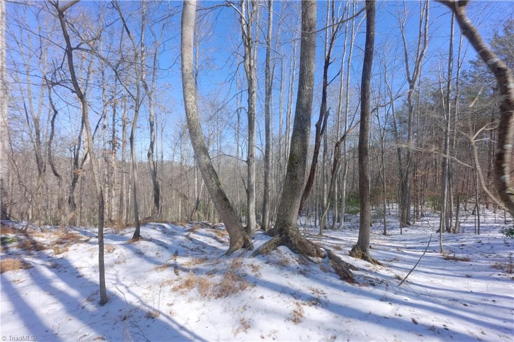 Unimproved Land at 0 Otis Woods Road, Danbury NC 27046, photo 28 of 47