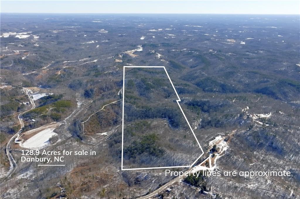 Unimproved Land at 0 Otis Woods Road, Danbury NC 27046, photo 5 of 47