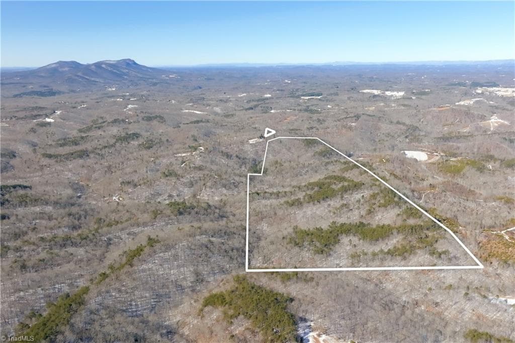 Unimproved Land at 0 Otis Woods Road, Danbury NC 27046, photo 9 of 47