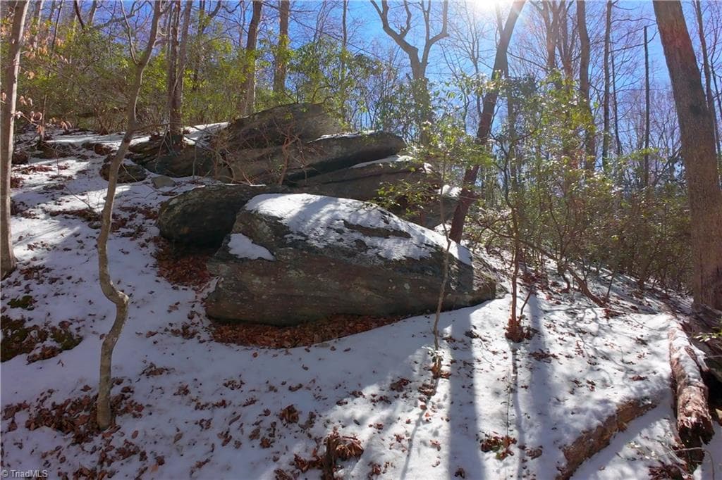 Unimproved Land at 0 Otis Woods Road, Danbury NC 27046, photo 24 of 47