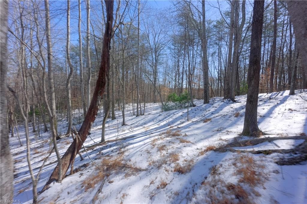 Unimproved Land at 0 Otis Woods Road, Danbury NC 27046, photo 30 of 47
