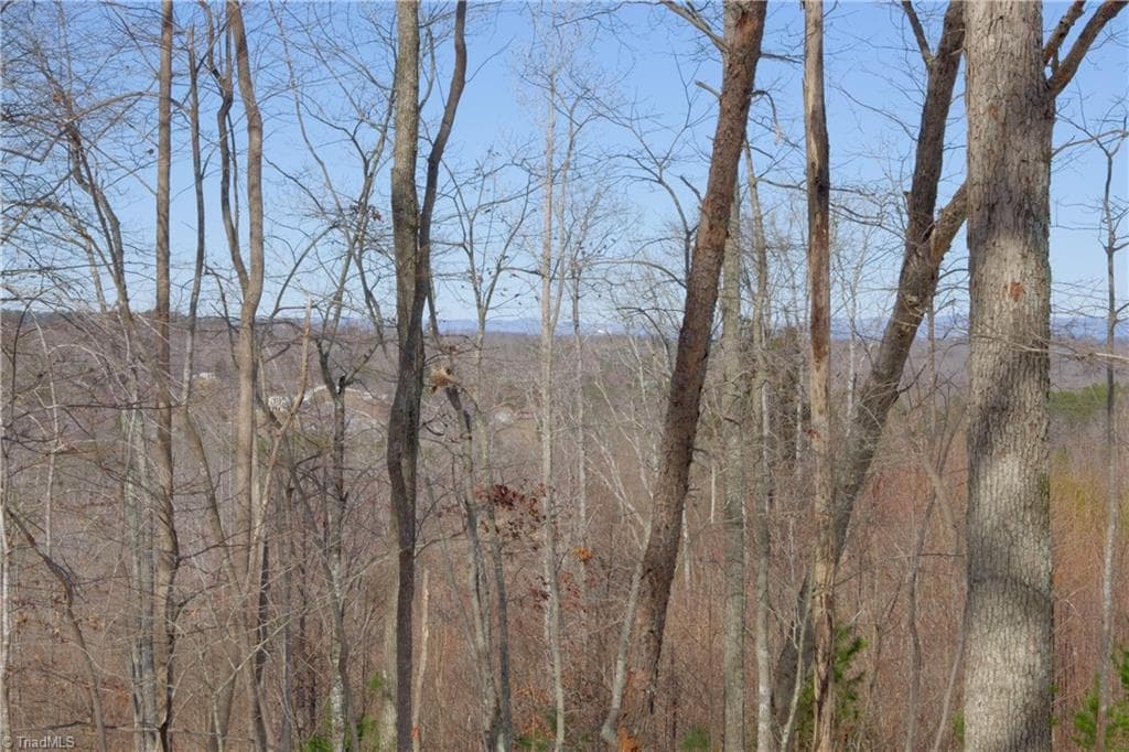 Unimproved Land at 0 Otis Woods Road, Danbury NC 27046, photo 38 of 47