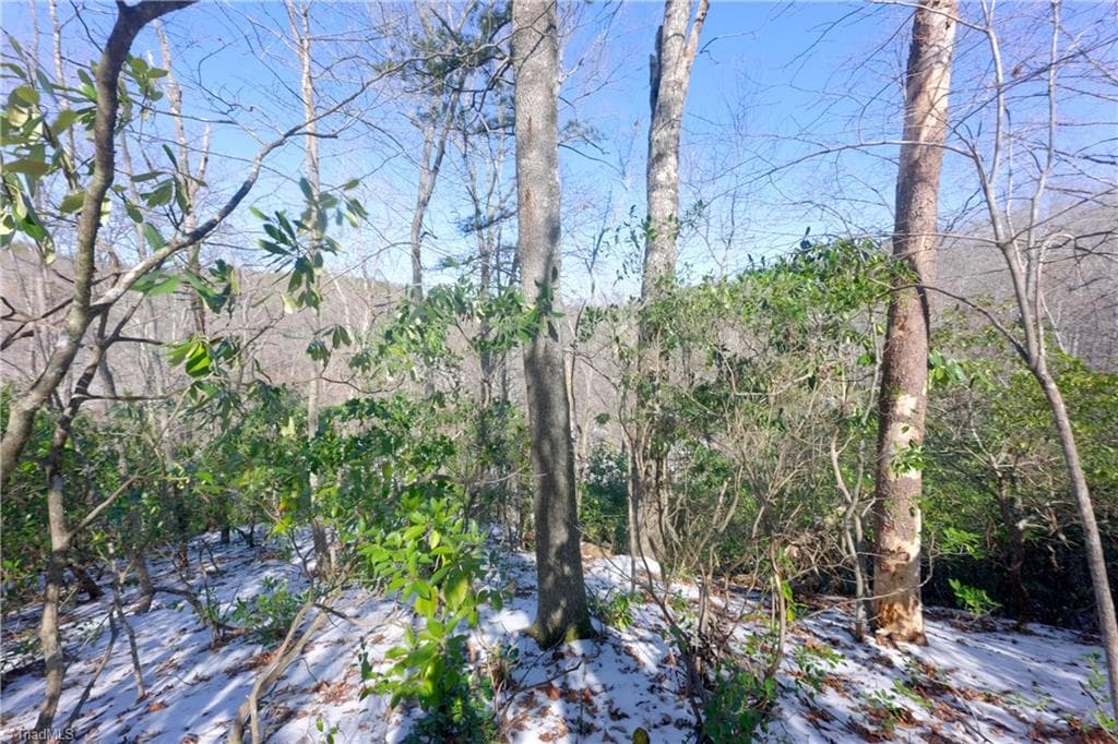 Unimproved Land at 0 Otis Woods Road, Danbury NC 27046, photo 33 of 47
