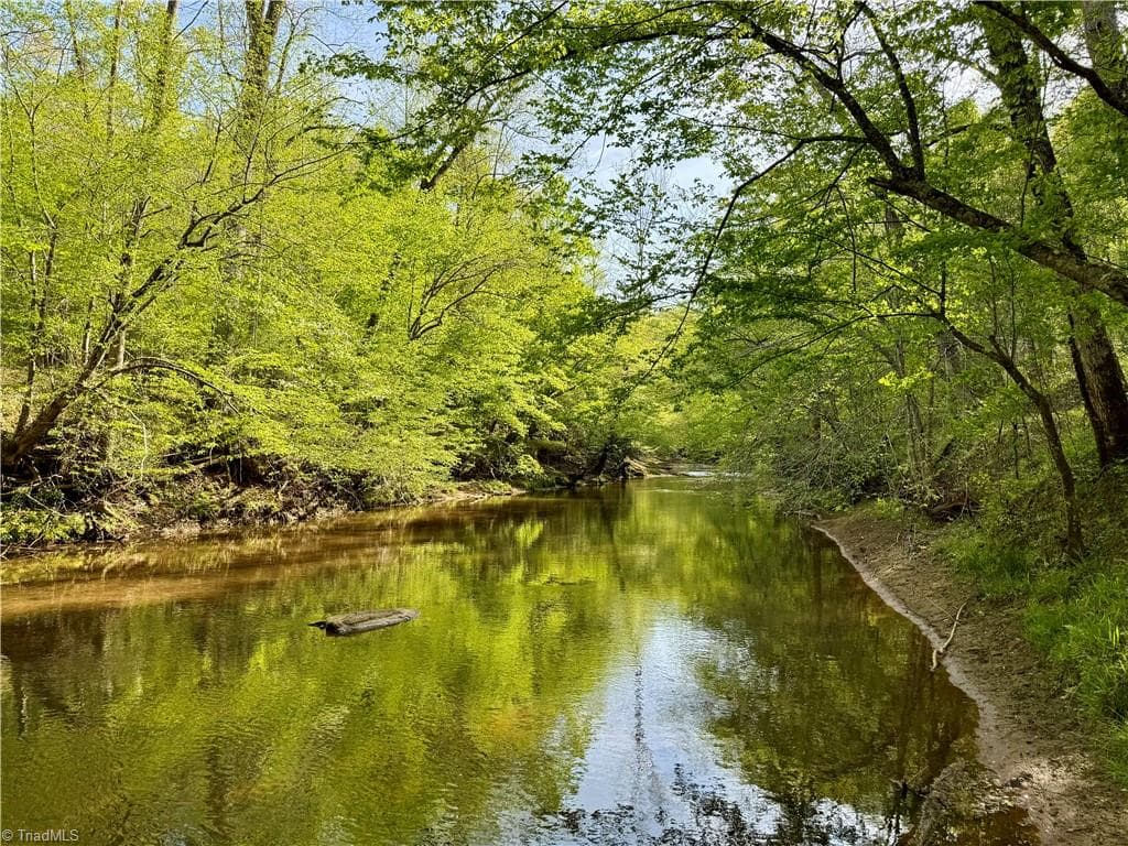 Unimproved Land at 0 Otis Woods Road, Danbury NC 27046, photo 14 of 47