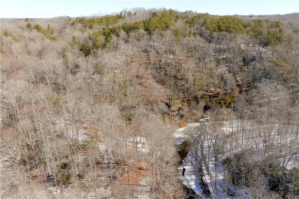 Unimproved Land at 0 Otis Woods Road, Danbury NC 27046, photo 41 of 47