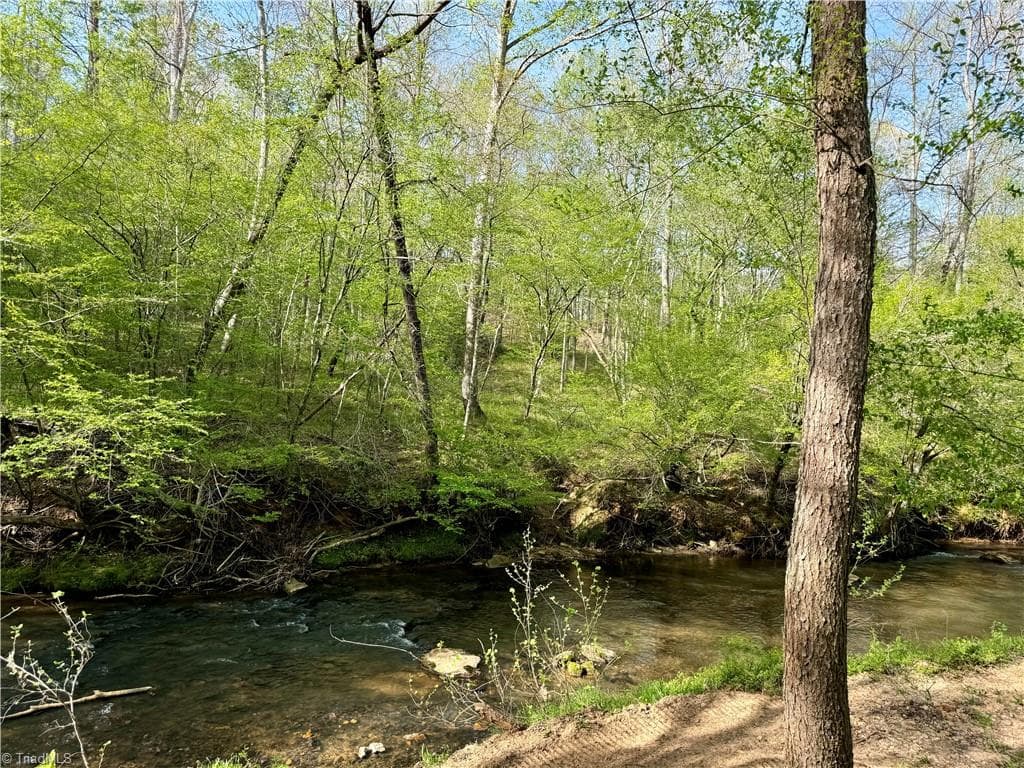 Unimproved Land at 0 Otis Woods Road, Danbury NC 27046, photo 45 of 47