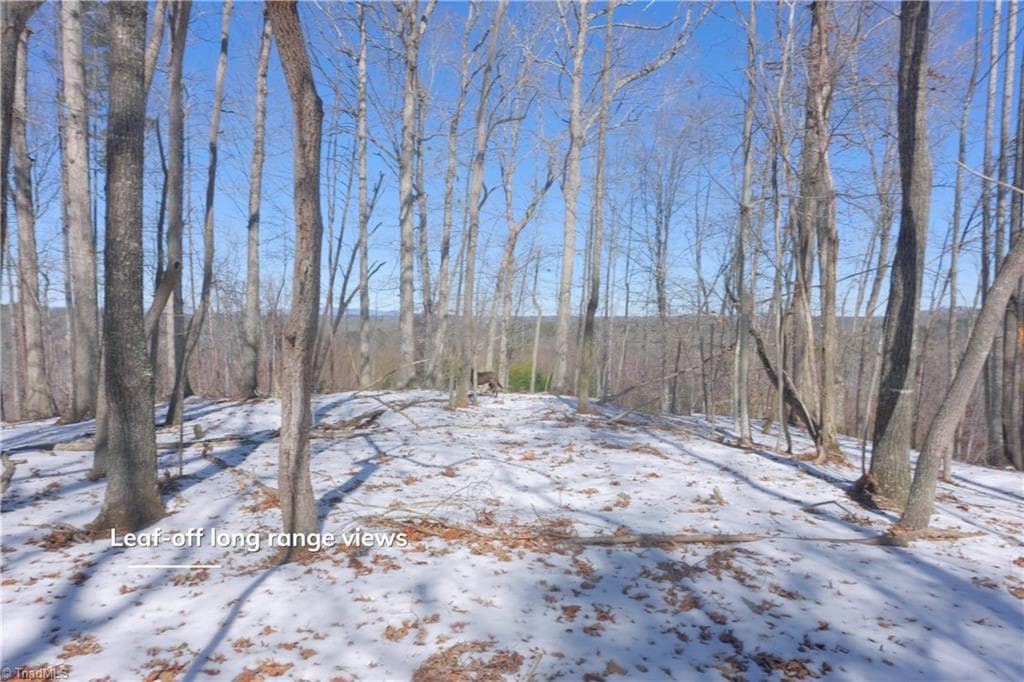 Unimproved Land at 0 Otis Woods Road, Danbury NC 27046, photo 37 of 47