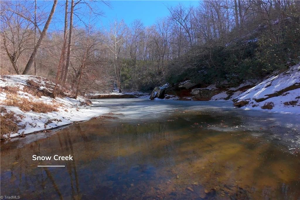Unimproved Land at 0 Otis Woods Road, Danbury NC 27046, photo 15 of 47