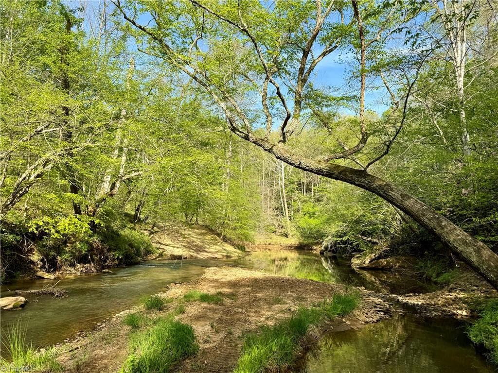 Unimproved Land at 0 Otis Woods Road, Danbury NC 27046, photo 11 of 47