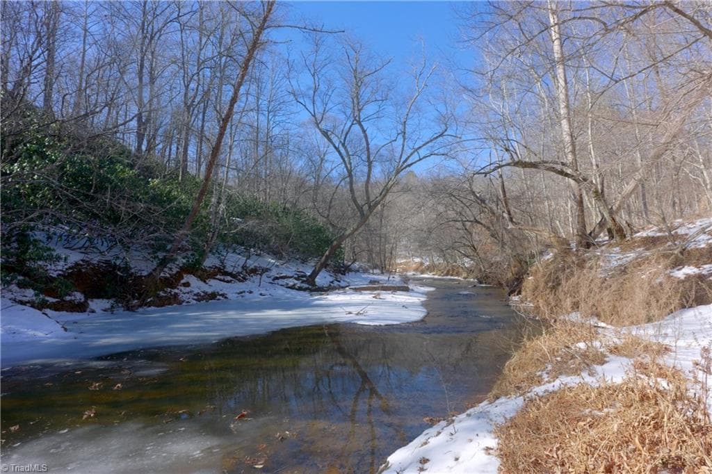 Unimproved Land at 0 Otis Woods Road, Danbury NC 27046, photo 19 of 47