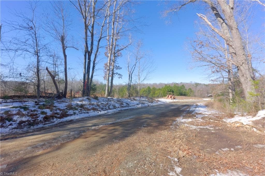 Unimproved Land at 0 Otis Woods Road, Danbury NC 27046, photo 40 of 47