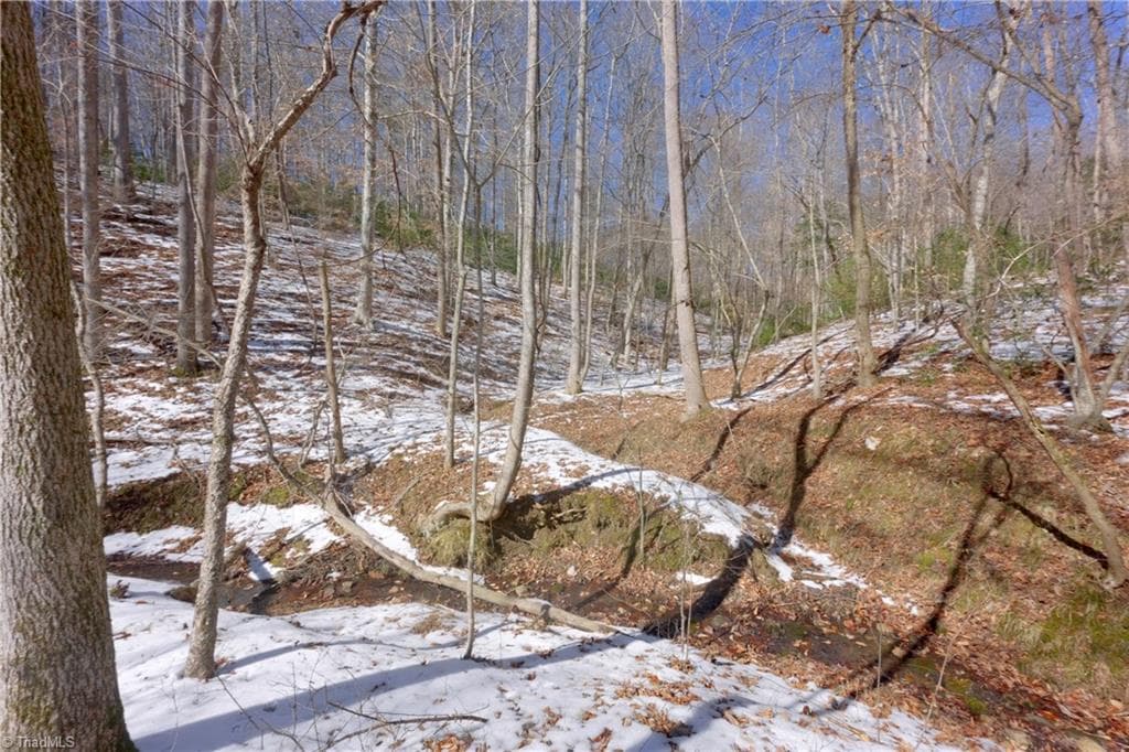 Unimproved Land at 0 Otis Woods Road, Danbury NC 27046, photo 35 of 47