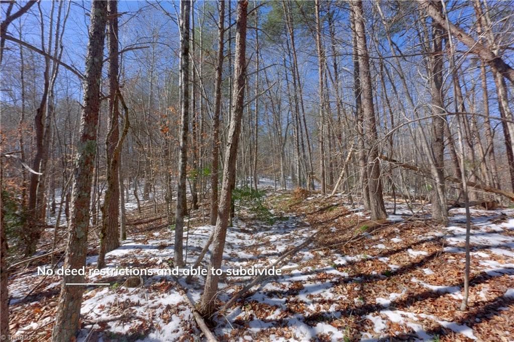 Unimproved Land at 0 Otis Woods Road, Danbury NC 27046, photo 31 of 47