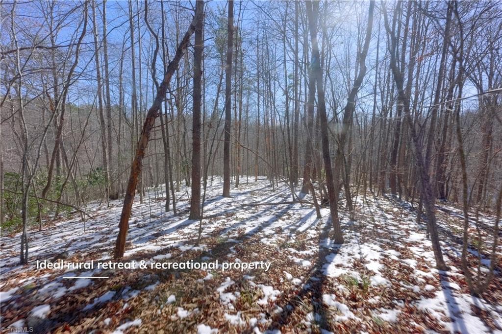 Unimproved Land at 0 Otis Woods Road, Danbury NC 27046, photo 29 of 47